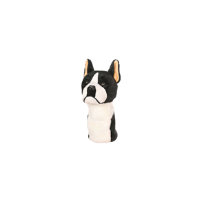 Boston Terrier