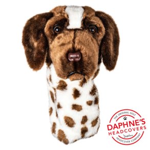 Short Haired Pointer