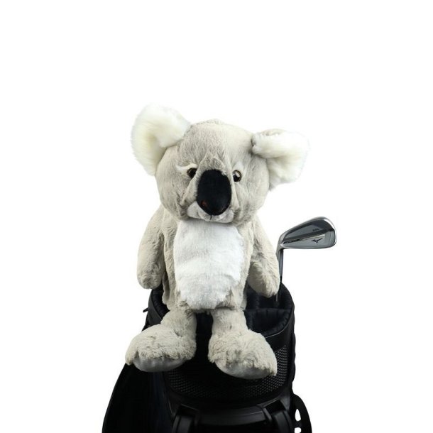 Lascar Koala headcover